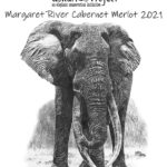 The Askari Project - Margaret River 2021 Cabernet Merlot
