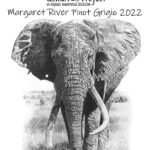 The Askari Project - Margaret River 2022 Pinot Grigio