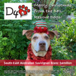 Desperate For Love Dog Rescue - South-East Australian Sauvignon Blanc Semillon NV