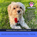 Dindi Dog Rescue - Barossa Valley Chardonnay 2018