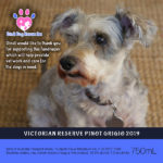Dindi Dog Rescue - Victorian Reserve Pinot Grigio 2019