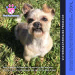 Dindi Dog Rescue - Victorian Sparkling Prosecco