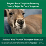 Pumpkin’s Patch Kangaroo Sanctuary - Adelaide Hills Premium Sauvignon Blanc 2019