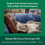 Pumpkin’s Patch Kangaroo Sanctuary - Adelaide Hills Reserve Pinot Grigio 2019