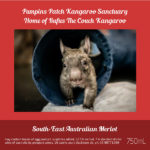 Pumpkin’s Patch Kangaroo Sanctuary - South-East Australian Merlot NV