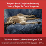 Pumpkin’s Patch Kangaroo Sanctuary - Victorian Reserve Cabernet Sauvignon 2016