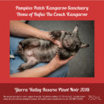 Pumpkin’s Patch Kangaroo Sanctuary - Yarra Valley Reserve Pinot Noir 2018