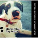Starting Over Dog Rescue - South Australian 2018 Sauvignon Blanc