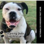 Starting Over Dog Rescue - Victorian 2018 Reserve Pinot Noir