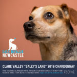 Dog Rescue Newcastle - Clare Valley 