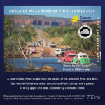 Shitbox Rally Team Havin The Craic - Adelaide Hills Reserve Pinot Grigio 2019