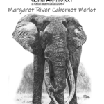 The Askari Project - Margaret River 2019 Cabernet Merlot