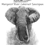 The Askari Project - Margaret River 2019 Cabernet Sauvignon