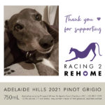 Racing 2 Rehome - Adelaide Hills 2021 Pinot Grigio