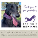 Racing 2 Rehome - Big Rivers 2020 Pinot Noir