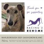Racing 2 Rehome - Marlborough 2021 Sauvignon Blanc (vegan)