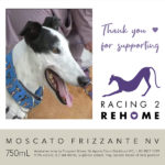 Racing 2 Rehome - Moscato Frizzante