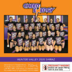 Cheer Energy Stingrays - Hunter Valley 2020 Shiraz