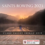 Saints Rowing - Clare Valley 2019 vegan Shiraz