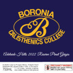 Boronia Calisthenics College - Adelaide Hills 2022 Reserve Pinot Grigio