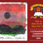 Miallo State School - Coonawarra Cabernet Sauvignon 2020 (vegan)